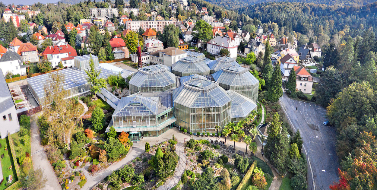 Ogród botaniczny