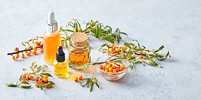 Rokitnik zwyczajny – naturalna bomba witaminowo-fitochemiczna-3555
