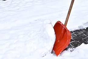 Ten obowiązek może wreszcie zniknąć. Sejm rozważa zmianę przepisów-4543