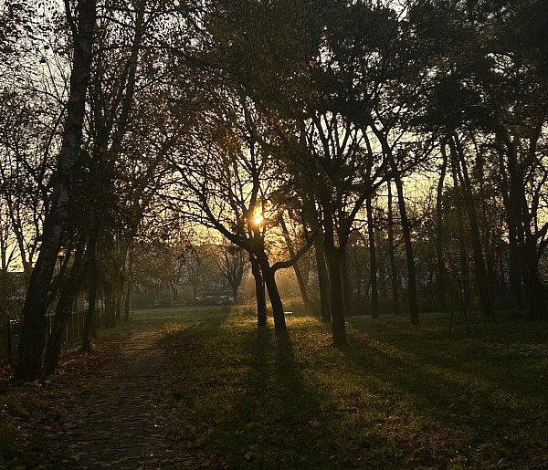Nadchodzi najkrótszy dzień w 2025 roku. Sprawdź, kiedy przypadnie-4840