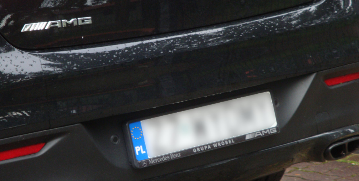 Fot. M Z Wojalski, CC BY 3.0, via Wikimedia Commons