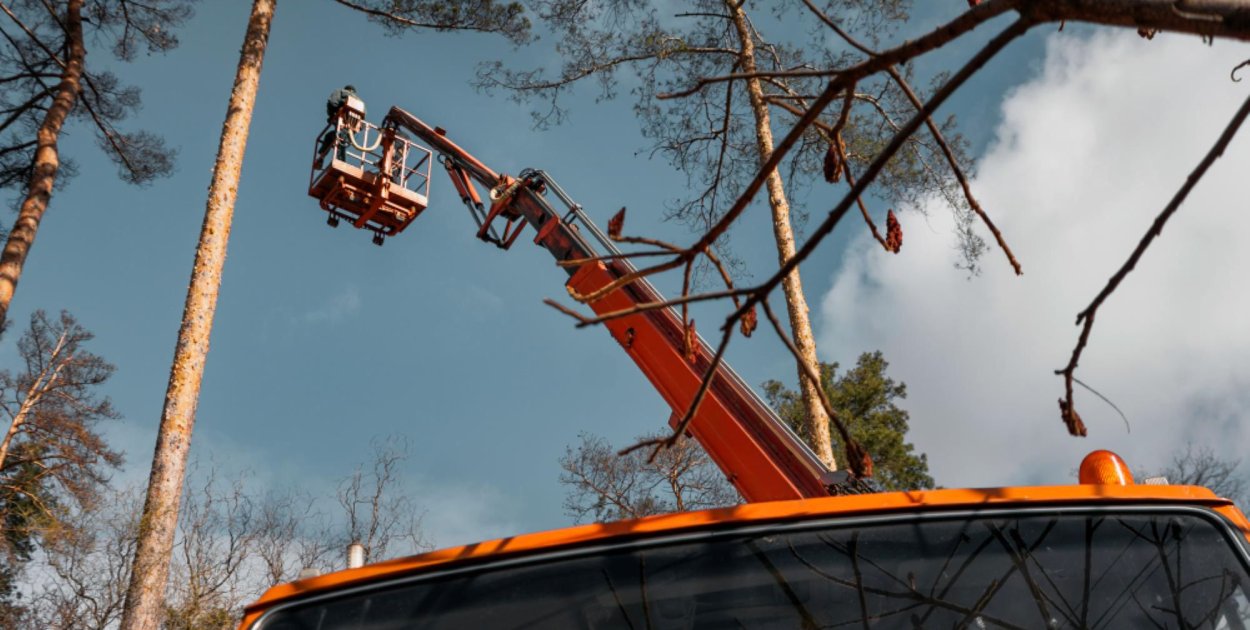 Czy każdy może wynająć podnośnik koszowy?