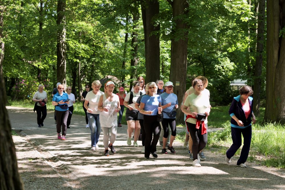 Fot. Tomasz Ponikwia MDK Slow Jogging w Cygańskim Lesie